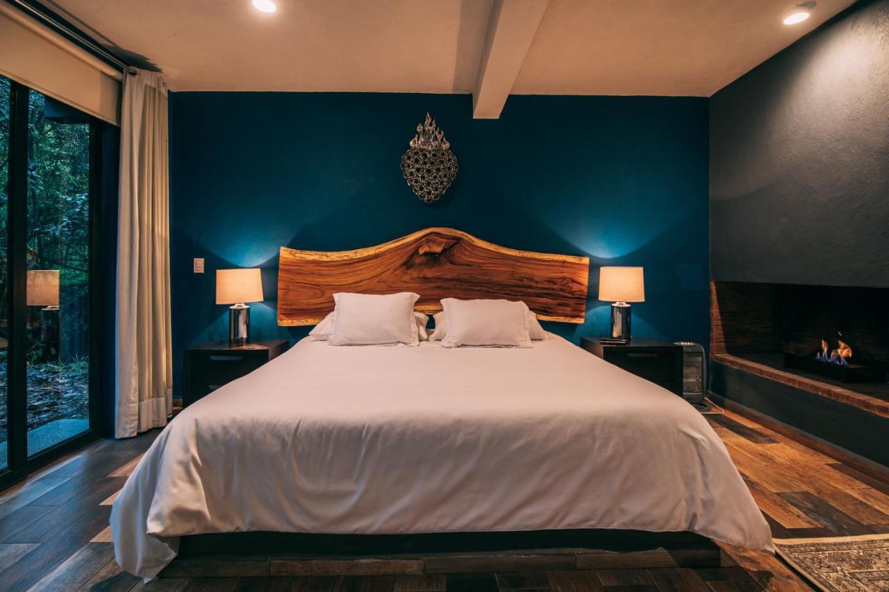 Suite Superior